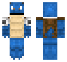 skin