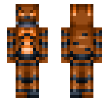 skin