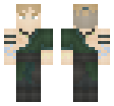 skin