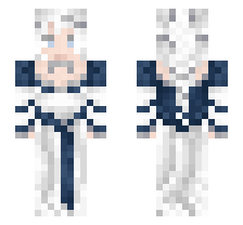 skin