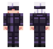skin
