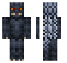 skin