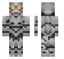 skin