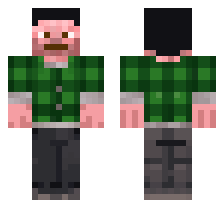 skin