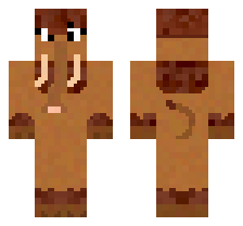 skin