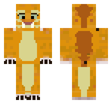skin