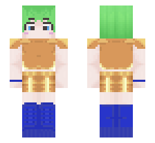 skin