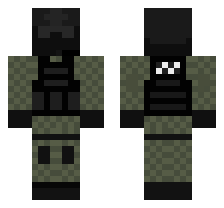 skin