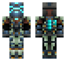 skin