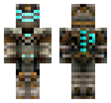 skin