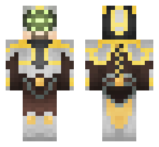 skin