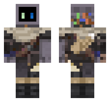 skin