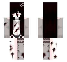 skin