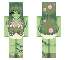 skin