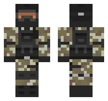 skin
