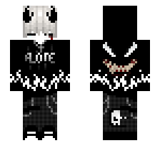 skin