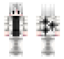skin