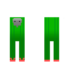 skin