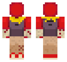 skin