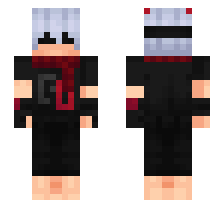 skin