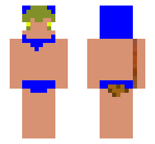 skin