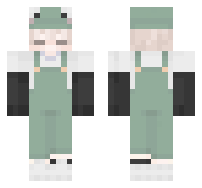 skin