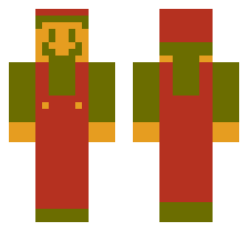 skin