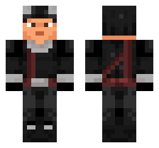 skin