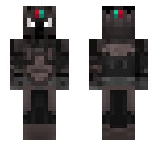 skin
