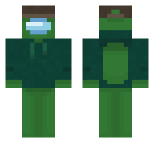 skin