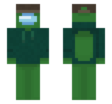 skin