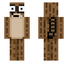 skin