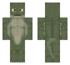 skin