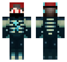skin