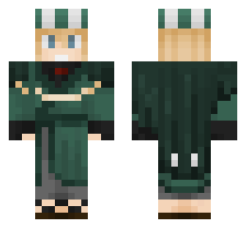 skin
