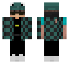 skin