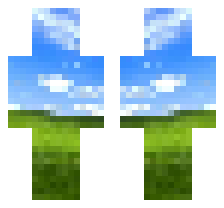 skin