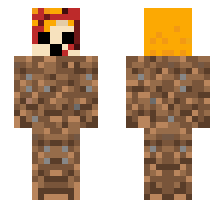 skin