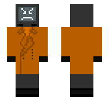 skin