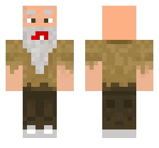 skin