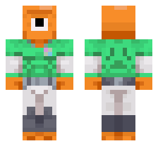 skin