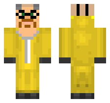 skin