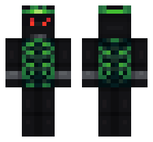 skin