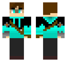 skin