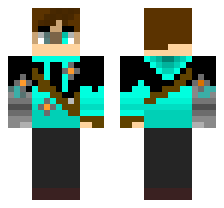 skin