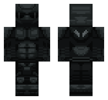 skin