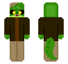 skin