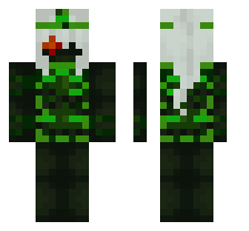 skin