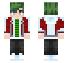 skin
