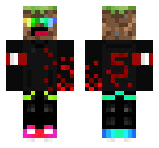 skin